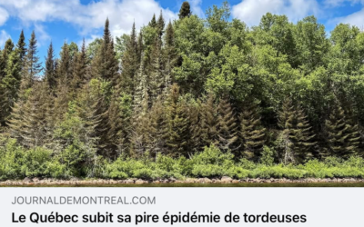 On récolte ce qu&rsquo;ils ont semé.